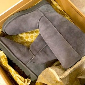 Class Tall Grey Uggs with Ugg Sheepskin Care Kit